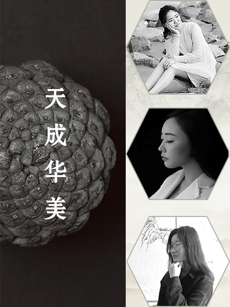 天成华美设计团队